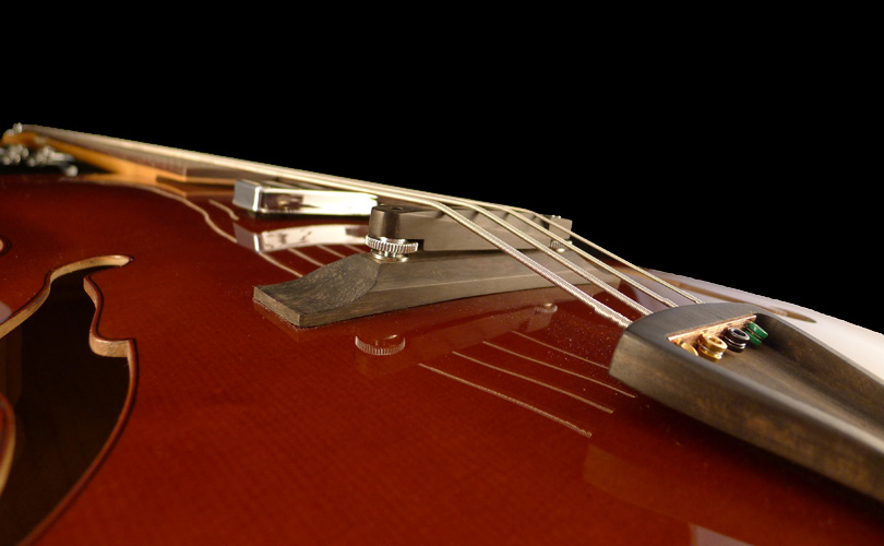 chevalet basse-archtop