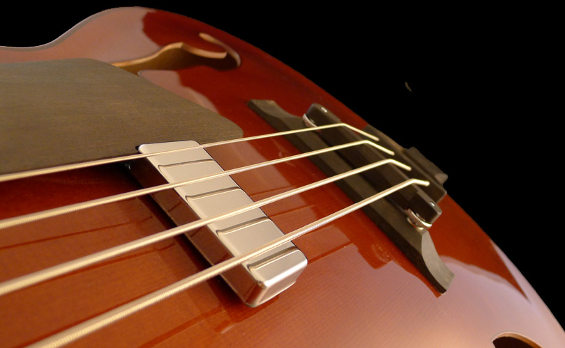 micro basse-archtop