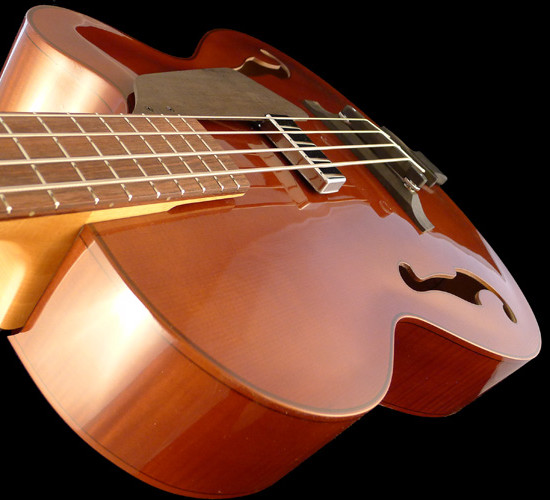 profile basse-archtop