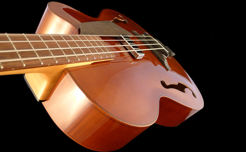 profile basse-archtop