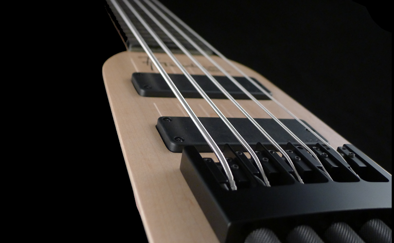 stick bass