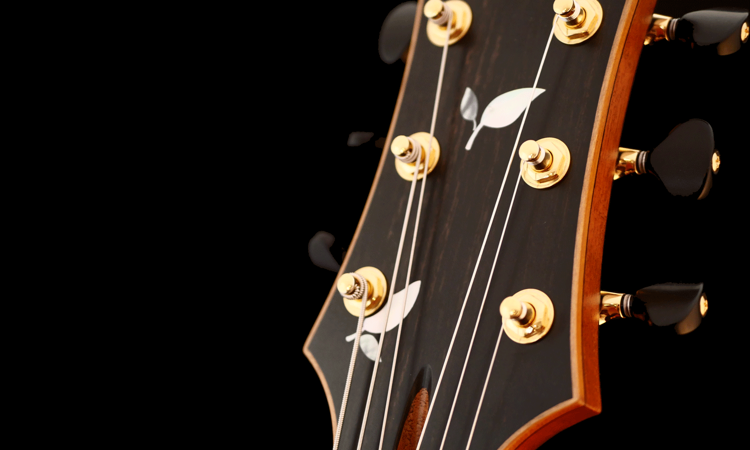 Archtop cherry