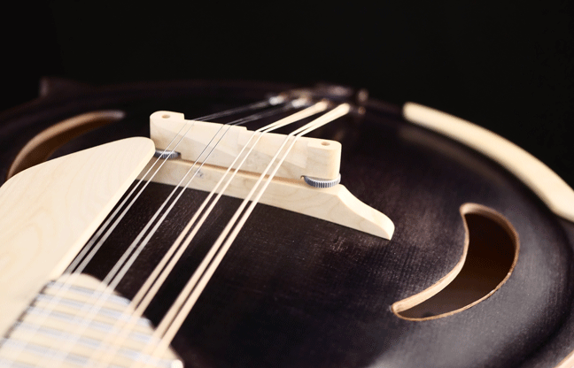 F-style-Mandolin