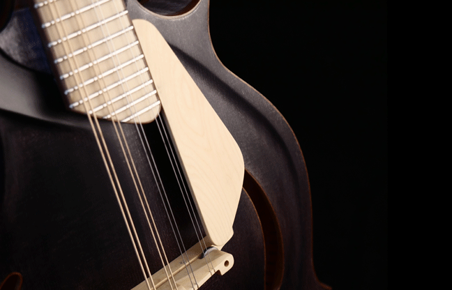 F-style-Mandolin