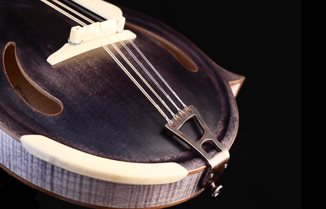 F-style-Mandolin